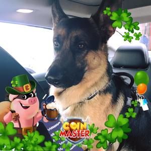 Meet your Posher, Michele michael rose